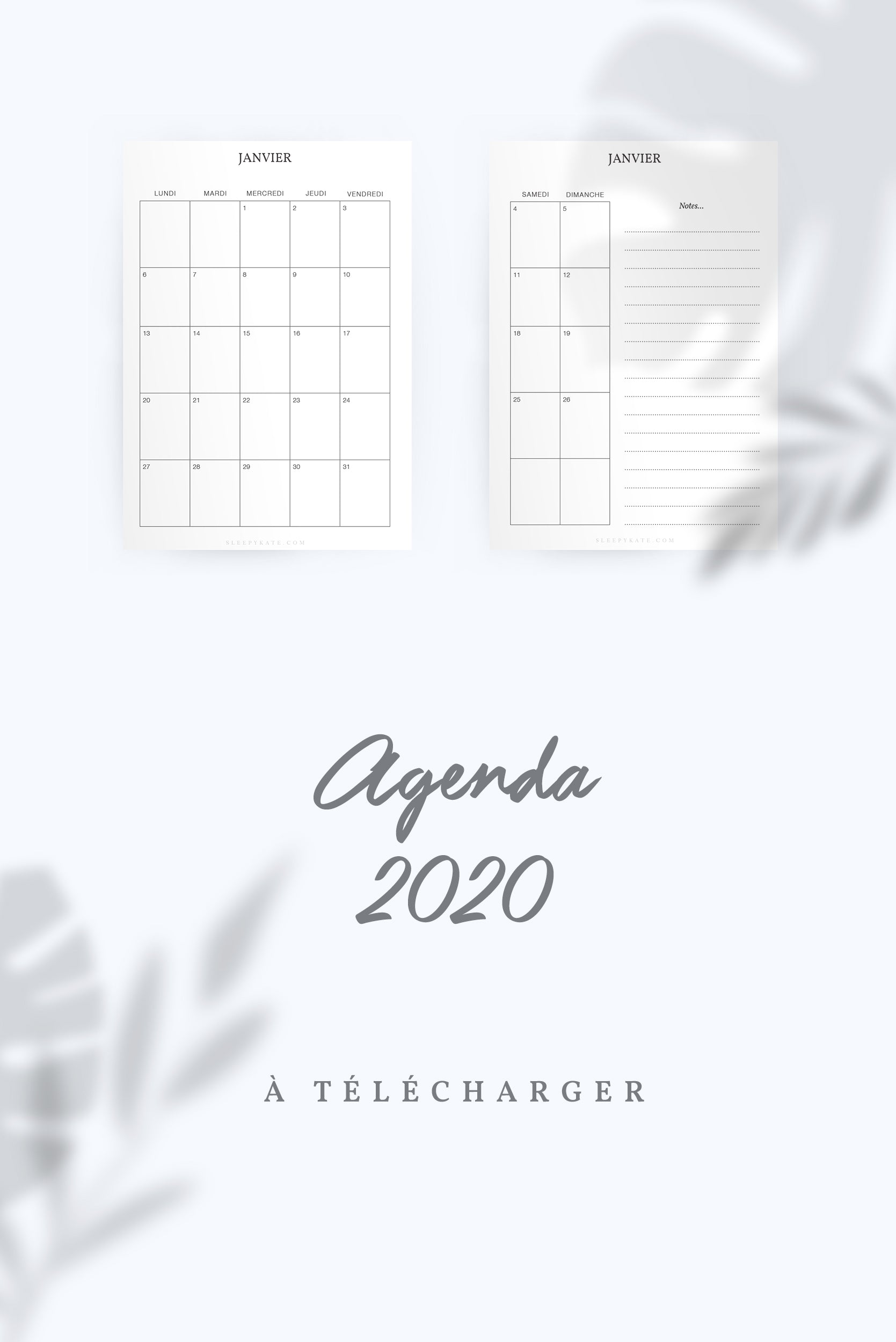 Agenda 2020 à télécharger